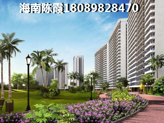 龙栖湾波波利海岸好不好？
