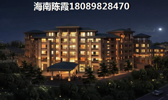 龙栖湾温泉1号开发商实力