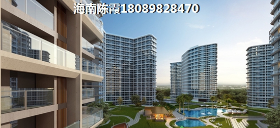 龙溪雅居VS金城广场分析对比
