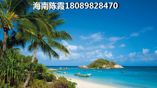 海南隆鑫诺亚方舟
