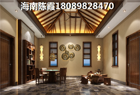 乐东商铺前景如何？