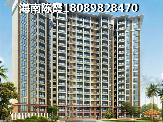 2021醉新乐东九所房价1