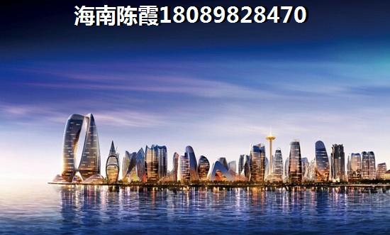 乐东九所镇房价会跌吗2