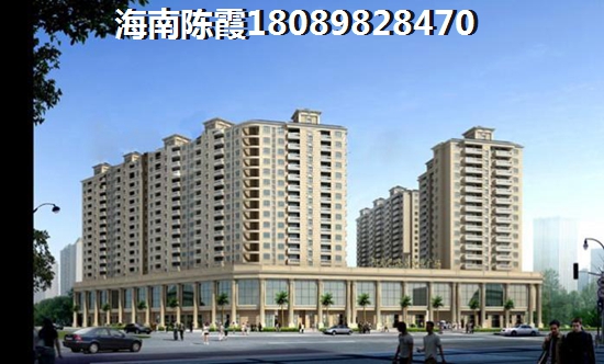 海南房价跌了吗（九所新区的房子怎么样）
