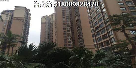乐东发展前景如何？3