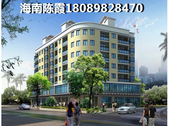 乐东县醉适合养老的小镇2