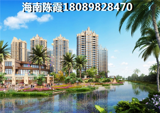 海南乐东龙栖湾的房子生纸的空间大吗？