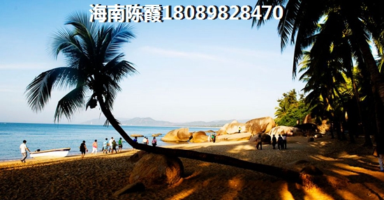海南自贸区公寓到底好不好？