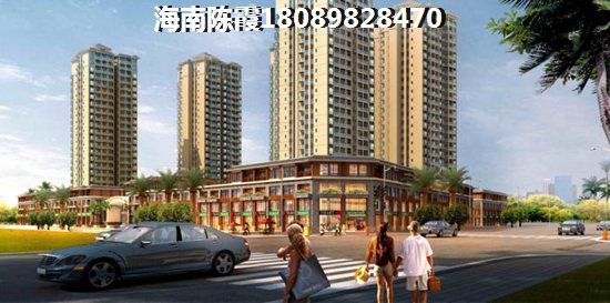 >2022海南购房解读