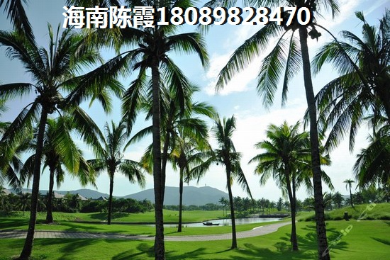今后乐东龙沐湾房地产还能买吗~