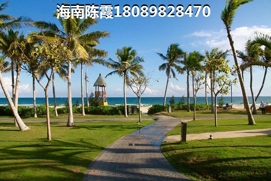 龙栖湾·新半岛养优势分析