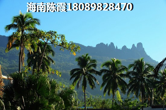 隆鑫诺亚方舟怎么样？