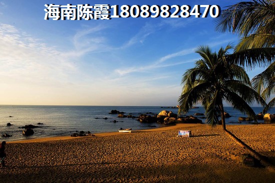 海南乐东房子可以买吗