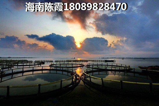 乐东九所适合养老吗？