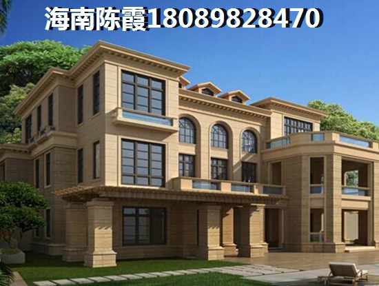 乐东买房资格