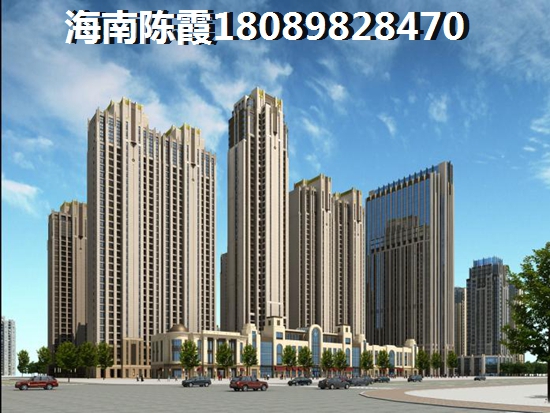 乐东房产调控政策解析~