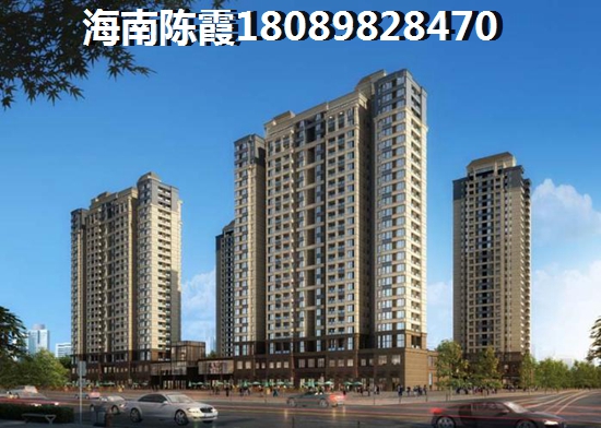 乐东九所买房到底纸不纸得，乐东九所房价走势醉新消息2023~