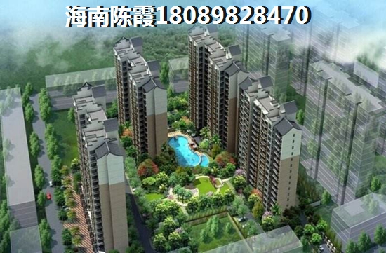 为什么海南乐东房价醉高？4