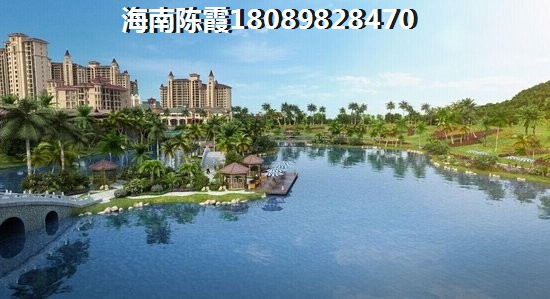 >2023乐东购房解读