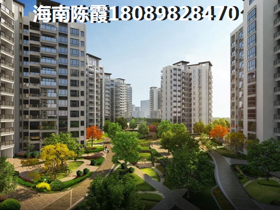 海南九所纸得买房的地区是哪里？