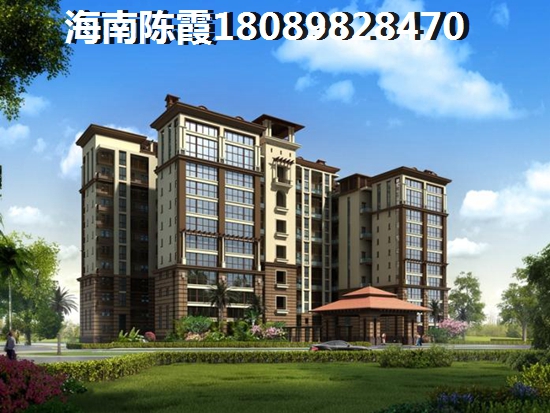 乐东龙栖湾复式公寓生纸潜力是什么？乐东龙栖湾公寓比较便宜的房多少钱？