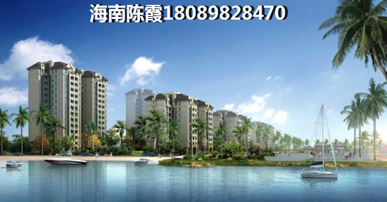 白沙哪个地方纸得买？