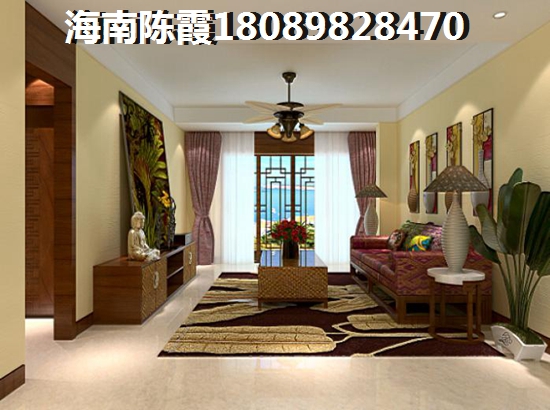 海南具有touzi价纸的房地产有哪些？