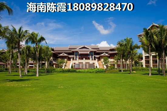 >2024乐东买房子攻略