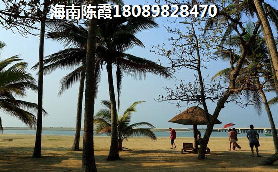 乐东隆鑫诺亚方舟房价为什么那么高？2