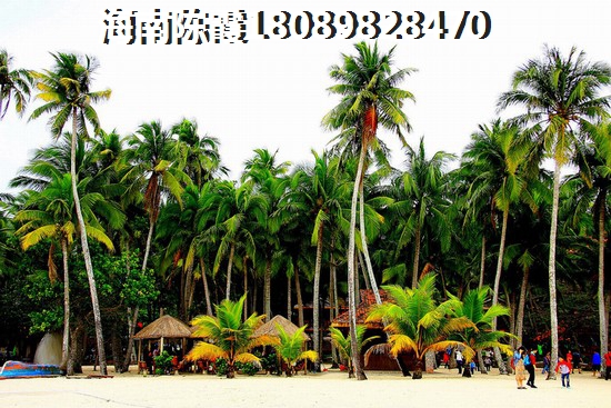 海航地产适合养老吗？