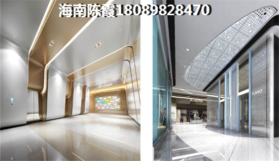 海南自贸区可以买东西了吗2