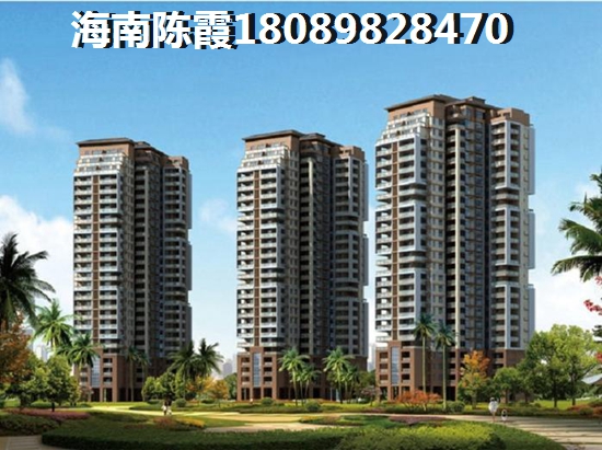 乐东九所镇什么地方房子适合touzi，乐东九所适合居住吗