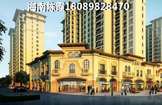 东北人去乐东九所买养老房子在哪里合适