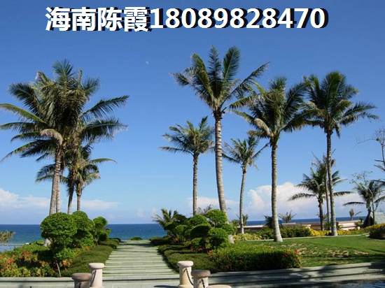 候鸟老人去不去乐东龙栖湾买房
