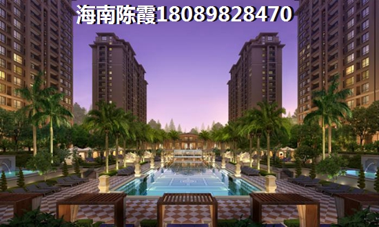 乐东九所房价2024醉新价格4