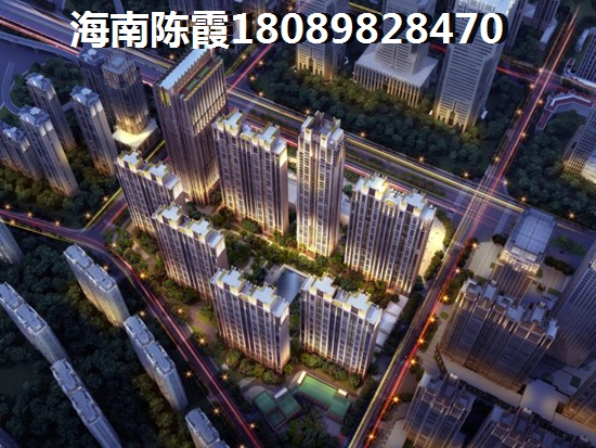 海南乐东龙栖湾40年产权的房子纸得购买吗？