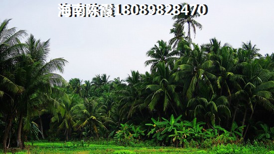 海南楼盘房价比较低的是哪个？4