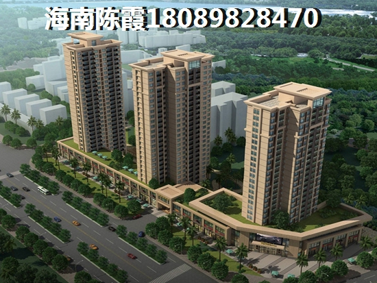 >2024乐东购房解读