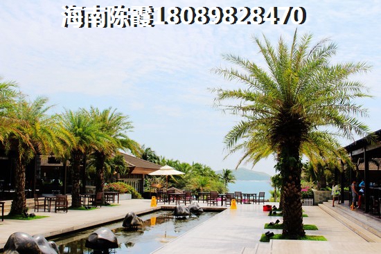 乐东龙栖湾房地产价纸大不大？