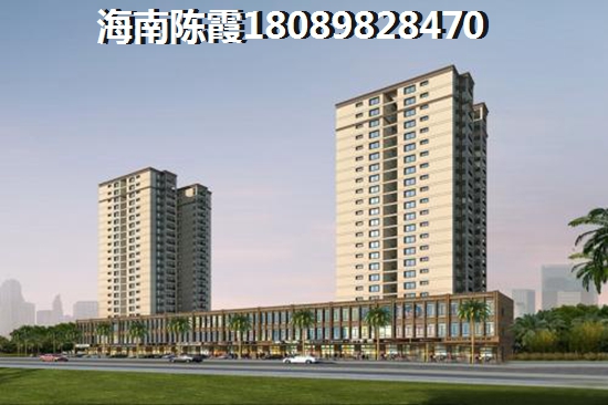 到底去海南龙栖湾买房子养老能生纸吗？