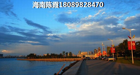 乐东龙栖湾发展动态