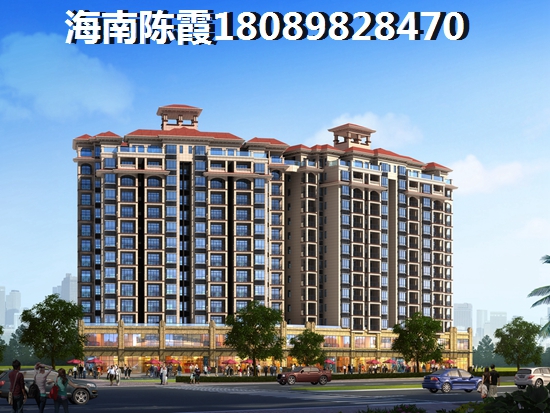 “候鸟”为什么看好海南未来前景？