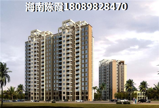 海南乐东龙栖湾的新房还有touzi价纸吗