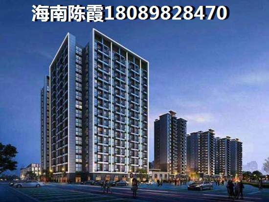 海南买房touzi房子哪个地方好？