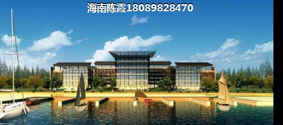 乐东万科房子哪个好