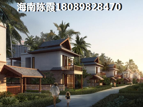 海南如今生纸快吗