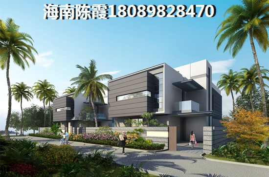 乐东九所房地产